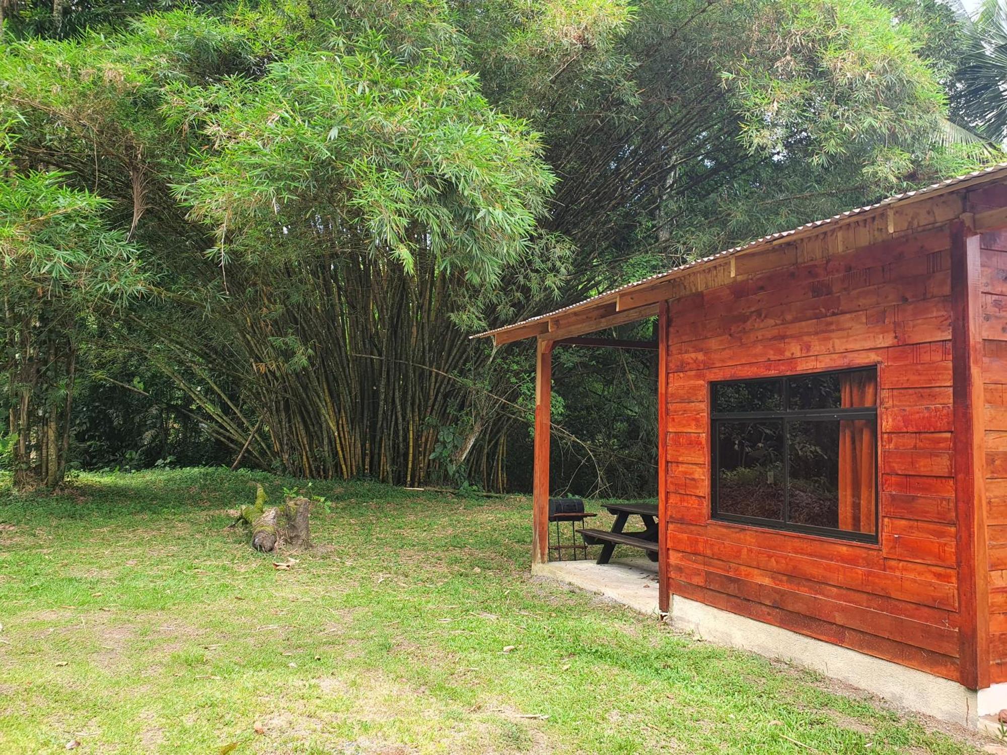 Into The Greens Madre de Dios Luaran gambar